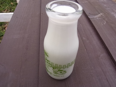 成田ゆめ牧場の200円のホットミルク